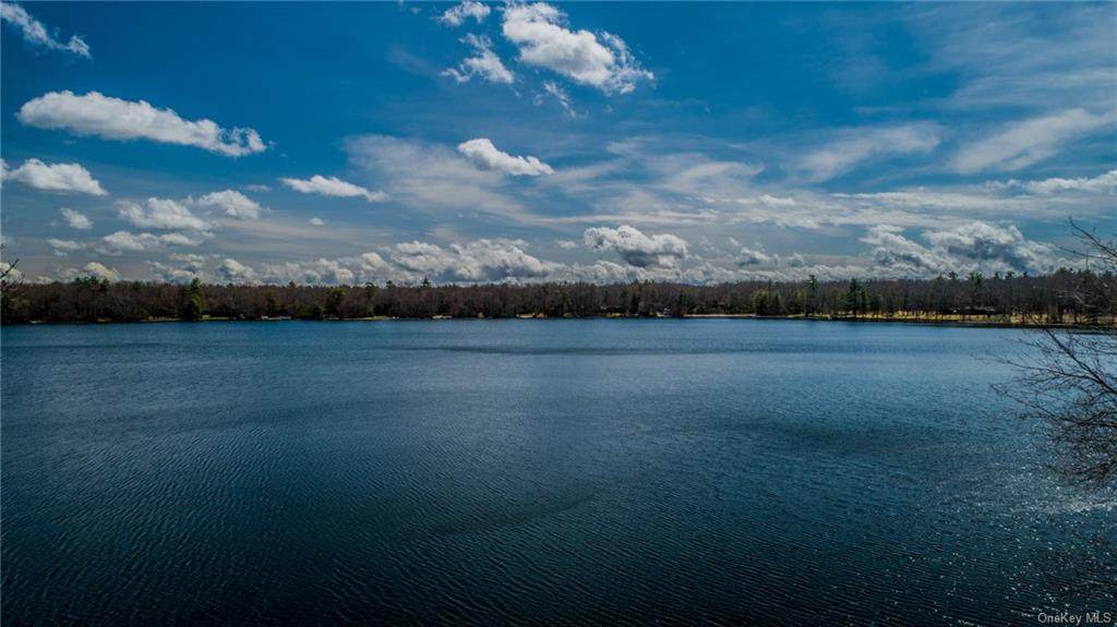 Lot 9 Lake Drive - Photo 1