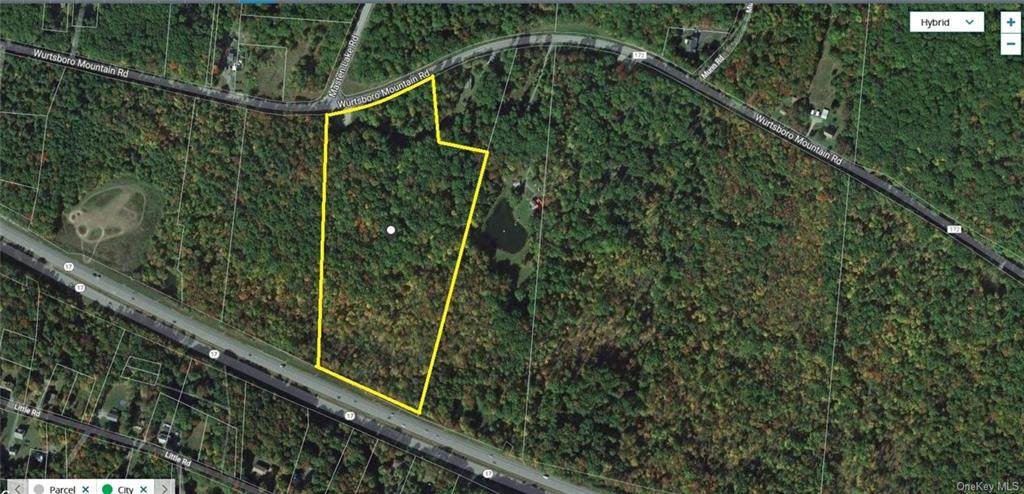 Lot #3 Wurtsboro Mountain Road - Photo 1