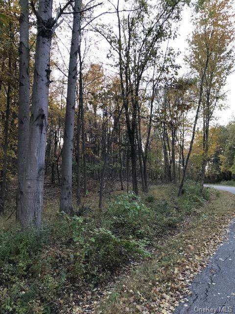 Ebenezer Lot 80, 81 & 82 Lane - Photo 1