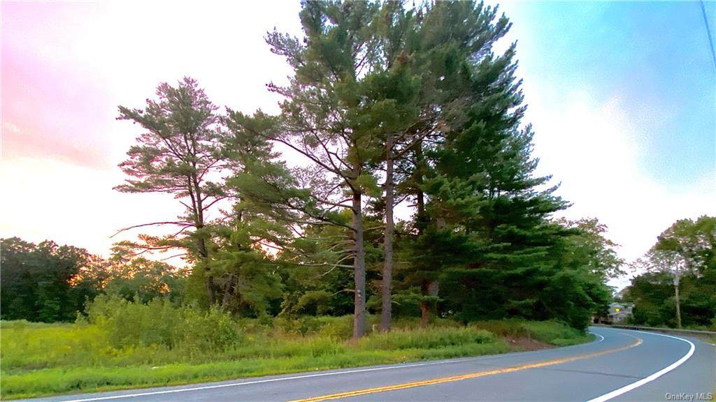 311 Route 209 - Photo 1