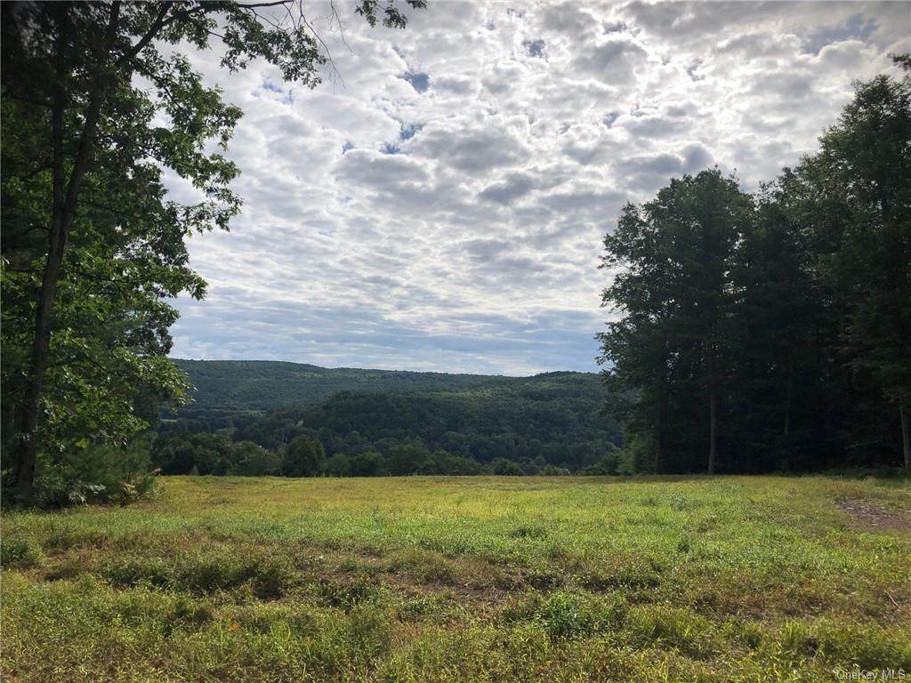Conklin Hill Rd - Photo 1