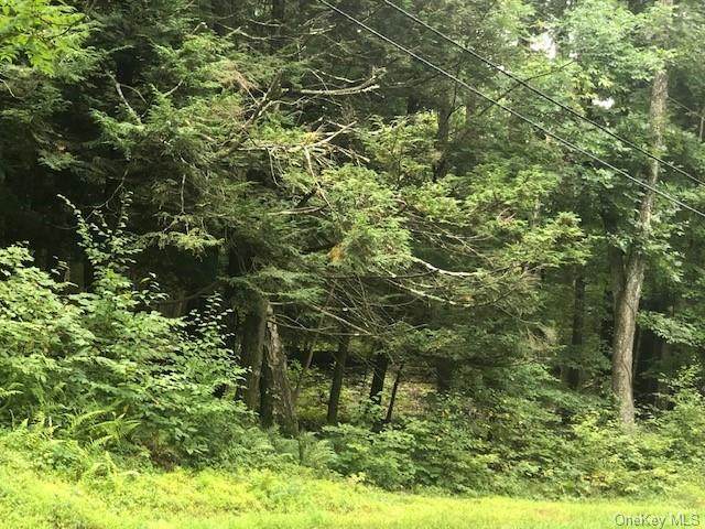 418 Browns Pond Road - Photo 1