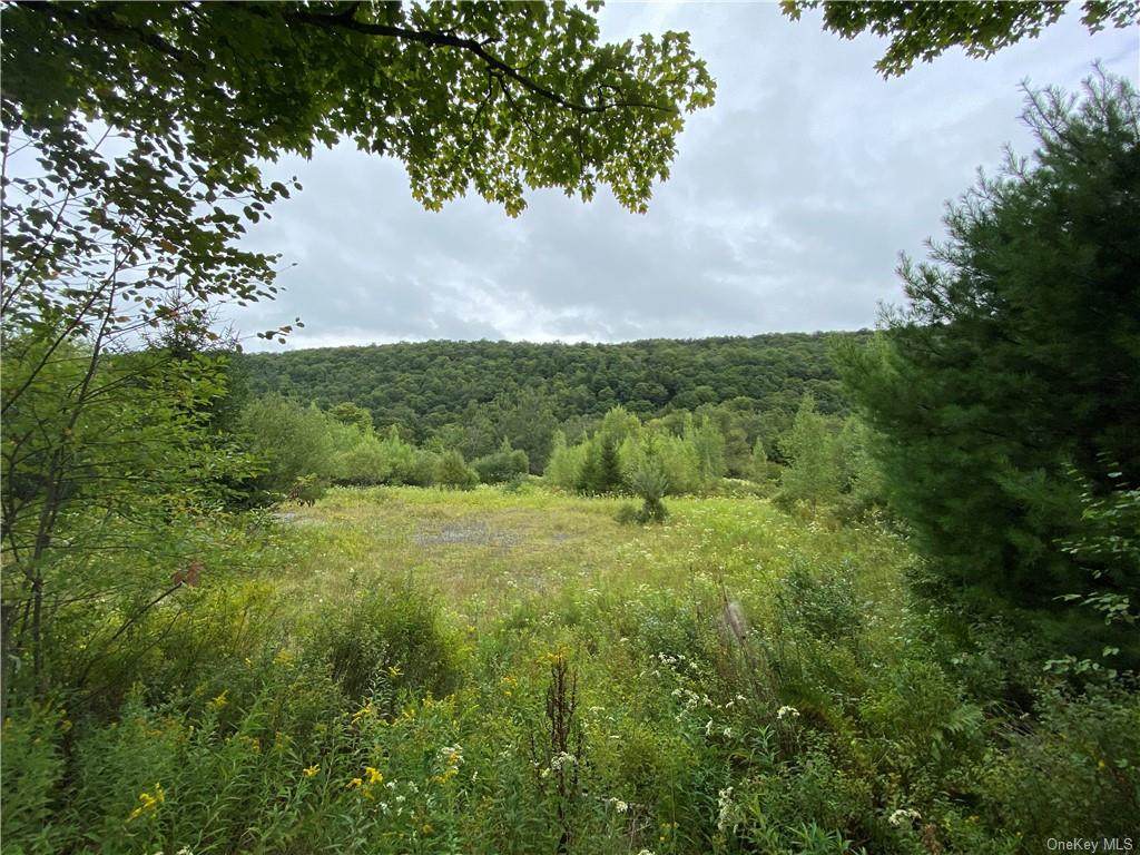 Benton Hollow Road - Photo 1
