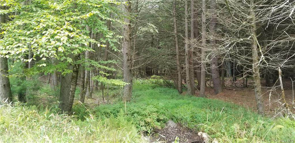 Lot #18 Bear Run Road - Photo 1