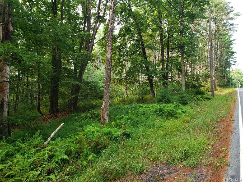 Forestburgh Road - Photo 1