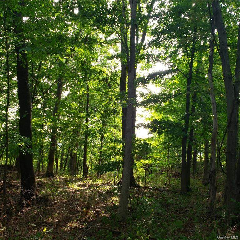 Forest View Drive - Photo 1