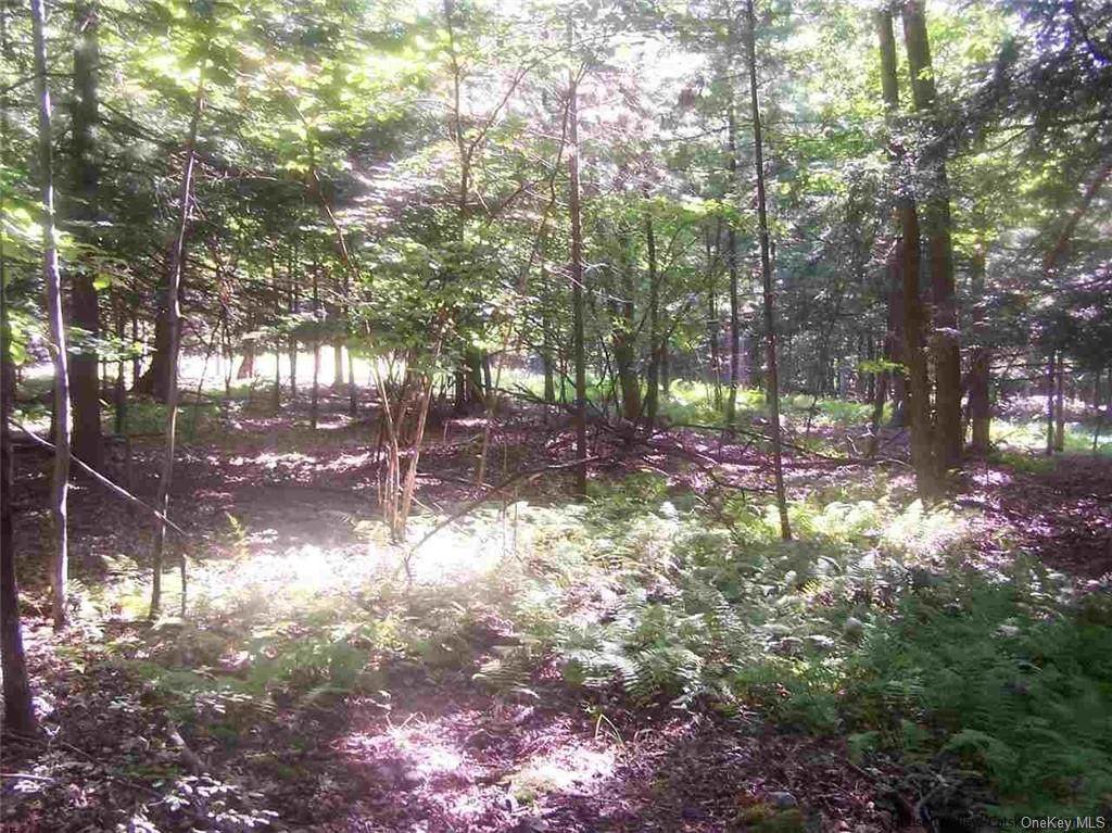 Lot 42.120 Samsonville Road - Photo 1