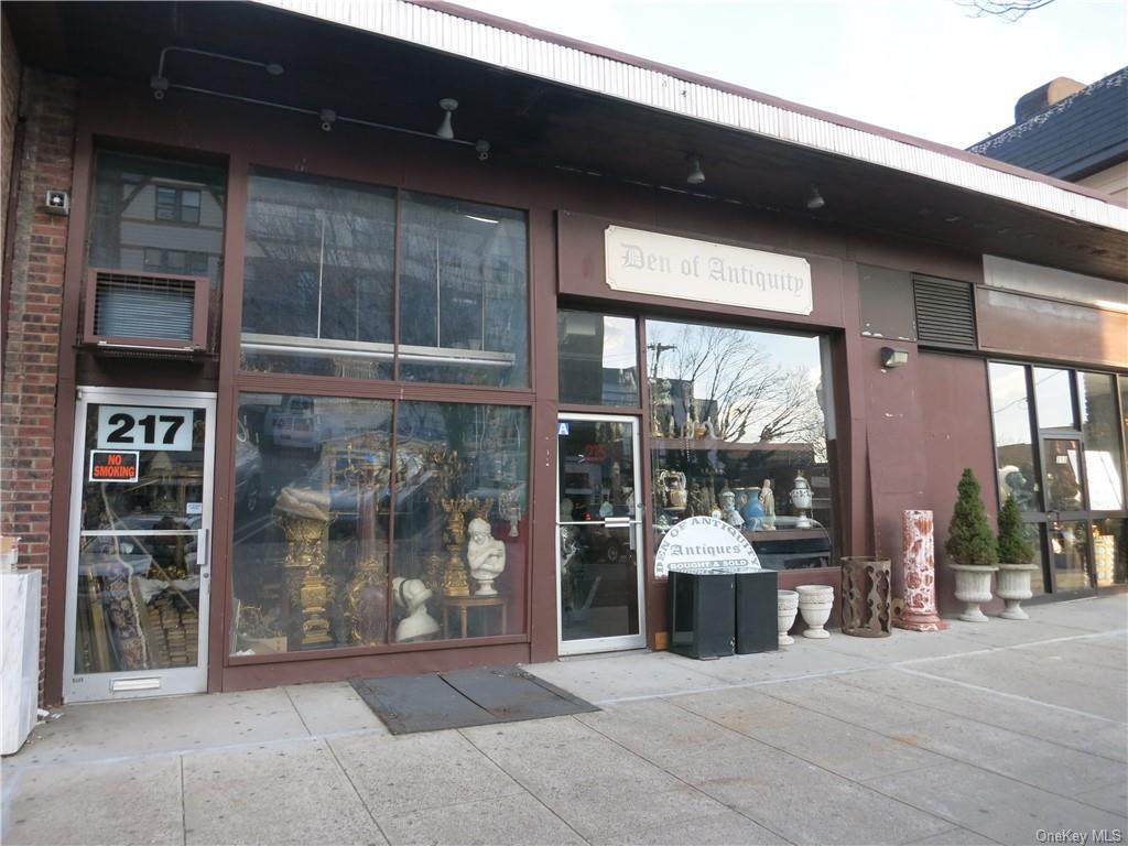 213-217 Mamaroneck Avenue - Photo 1