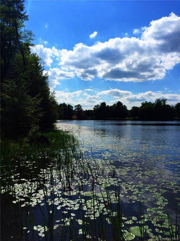 Beaver Dam Rd. - Photo 1