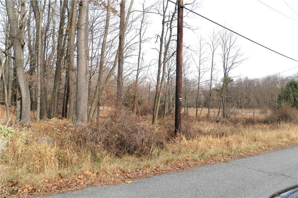 Panther Hill Road Tr 56A - Photo 1