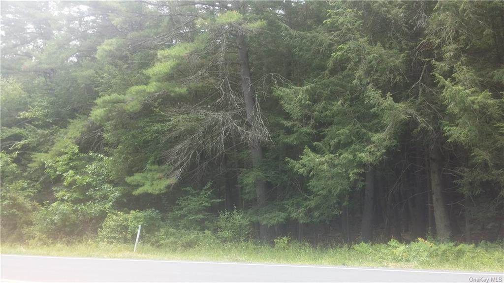 Nys 52 - Photo 1