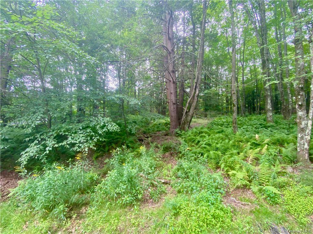 114 Renner Road - Photo 1