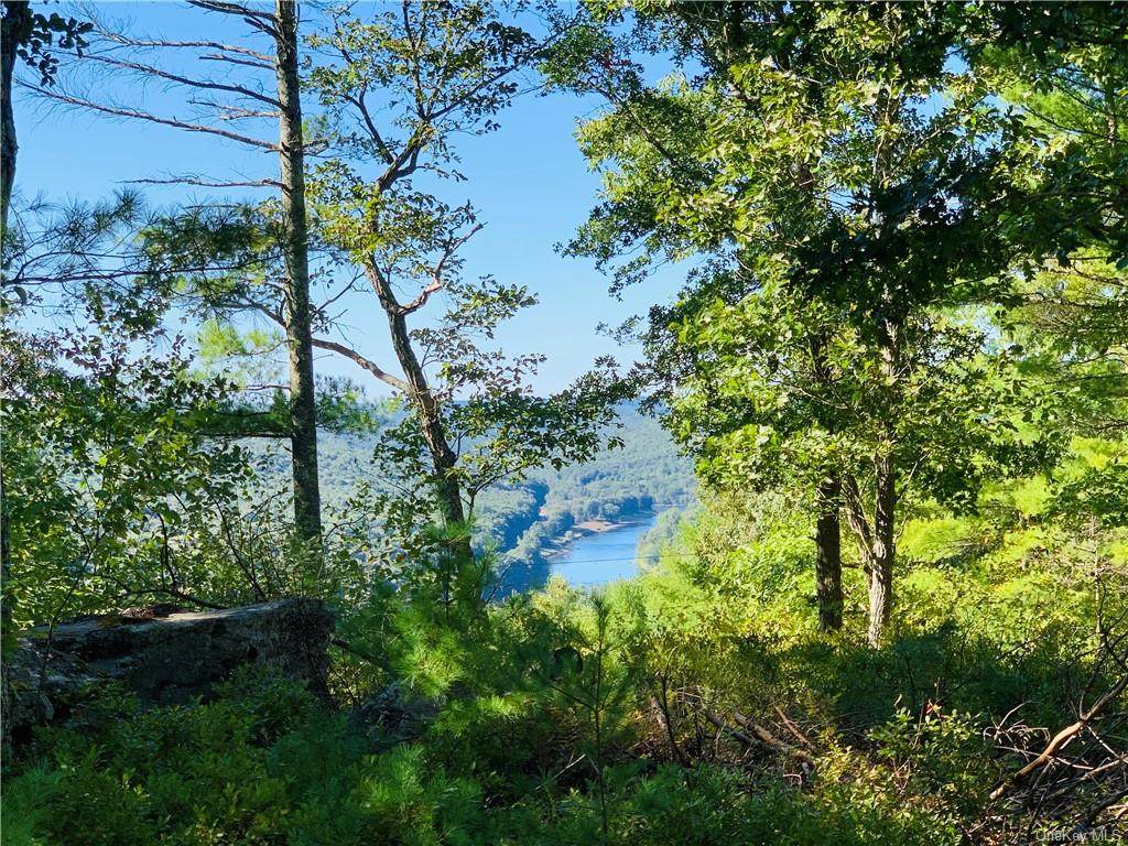 Eagle View Road - Photo 1