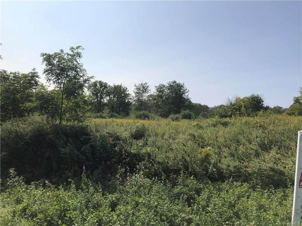 3131 Route 22 - Photo 1