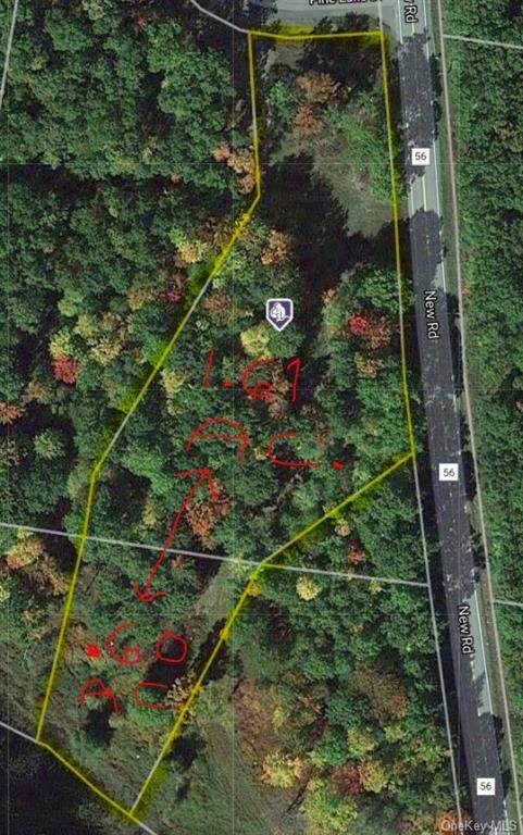 Pine Lake Drive - Photo 1