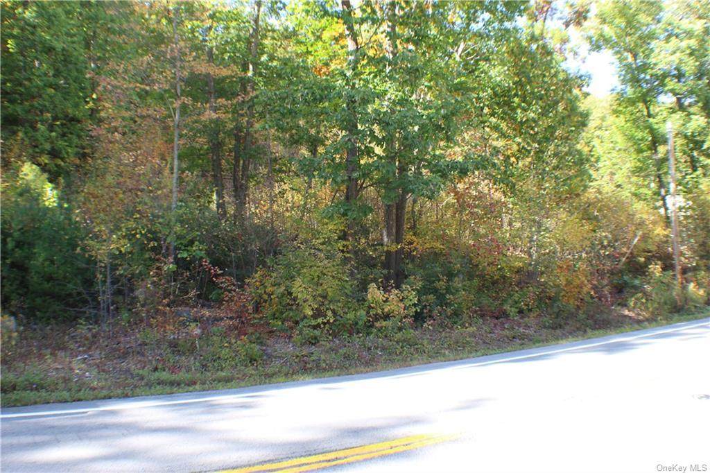 State Route 209 - Photo 1