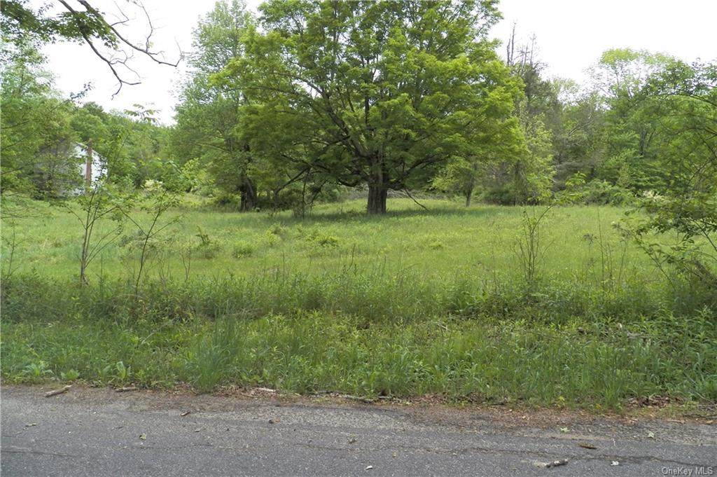 178 Old Turnpike Road - Photo 1