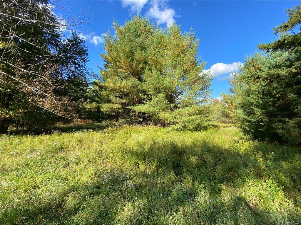 Wurtsboro Mountain Road - Photo 1