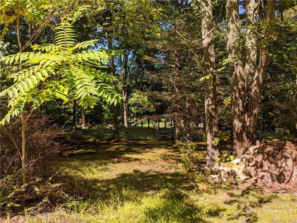 Lot 24 South Road - Photo 1