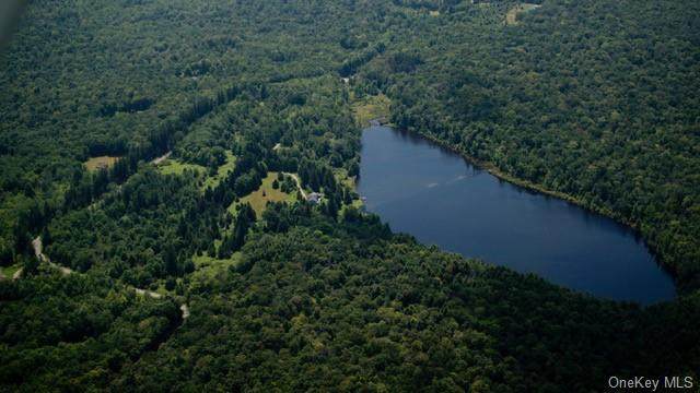 577 White Roe Lake Road - Photo 1