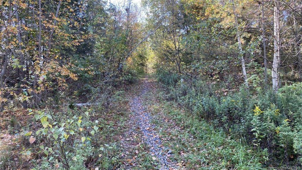na White Birch Road - Photo 1