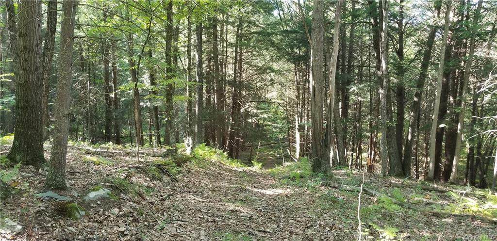 Lot 83 Cushetunk Drive - Photo 1