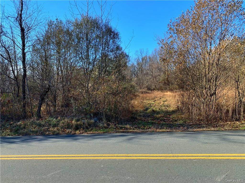 Route 207 Beattie Road - Photo 1