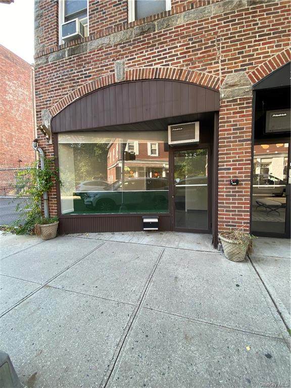 225 Fifth Avenue - Photo 1
