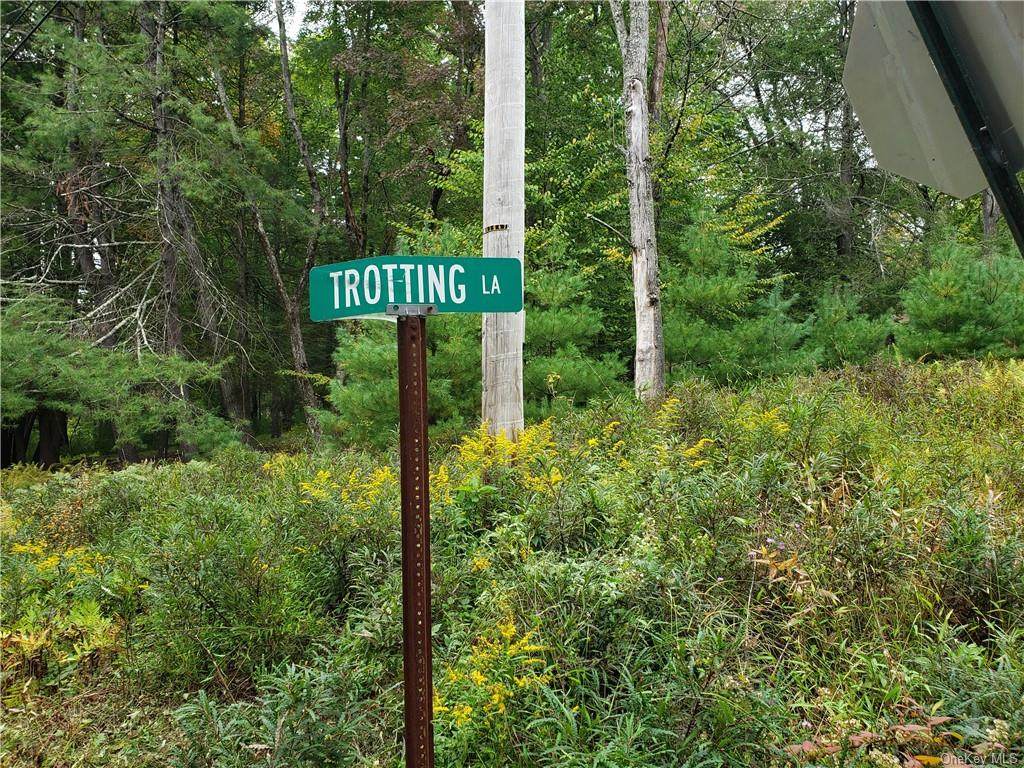 13 Trotting Lane - Photo 1
