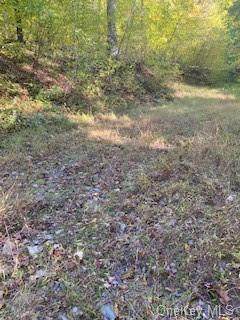 0000 Peekskill Hollow Road - Photo 1