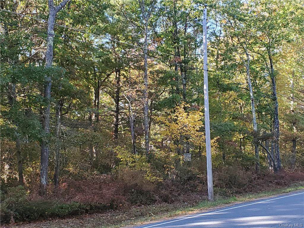 Lot 77 Forestburgh Road - Photo 1