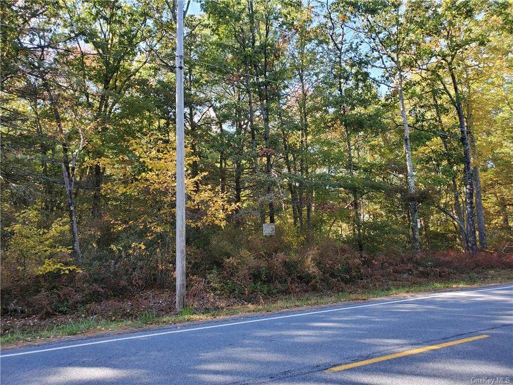 Lot 78 Forestburgh Road - Photo 1