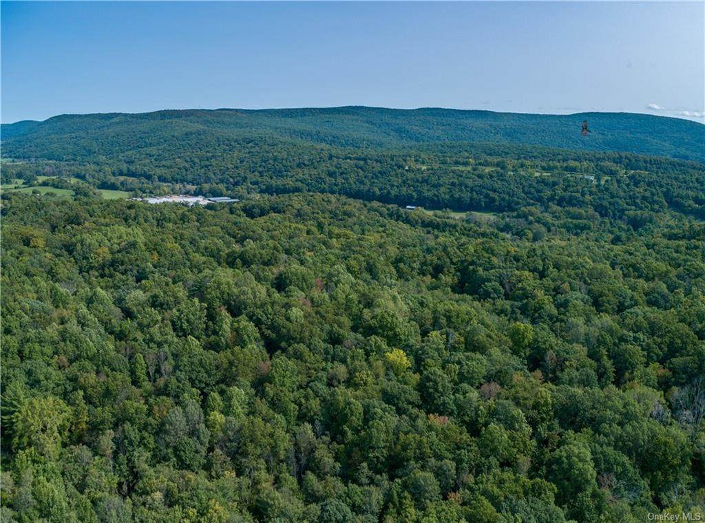 Route 22 - Photo 1