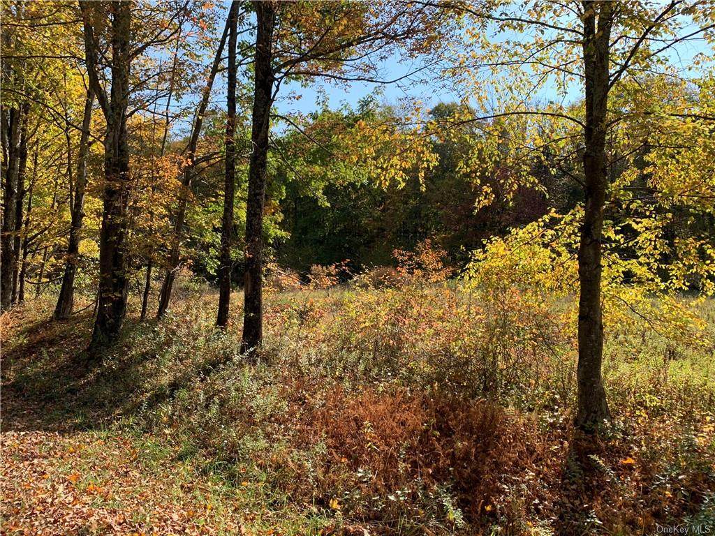 Huff Road - Photo 1