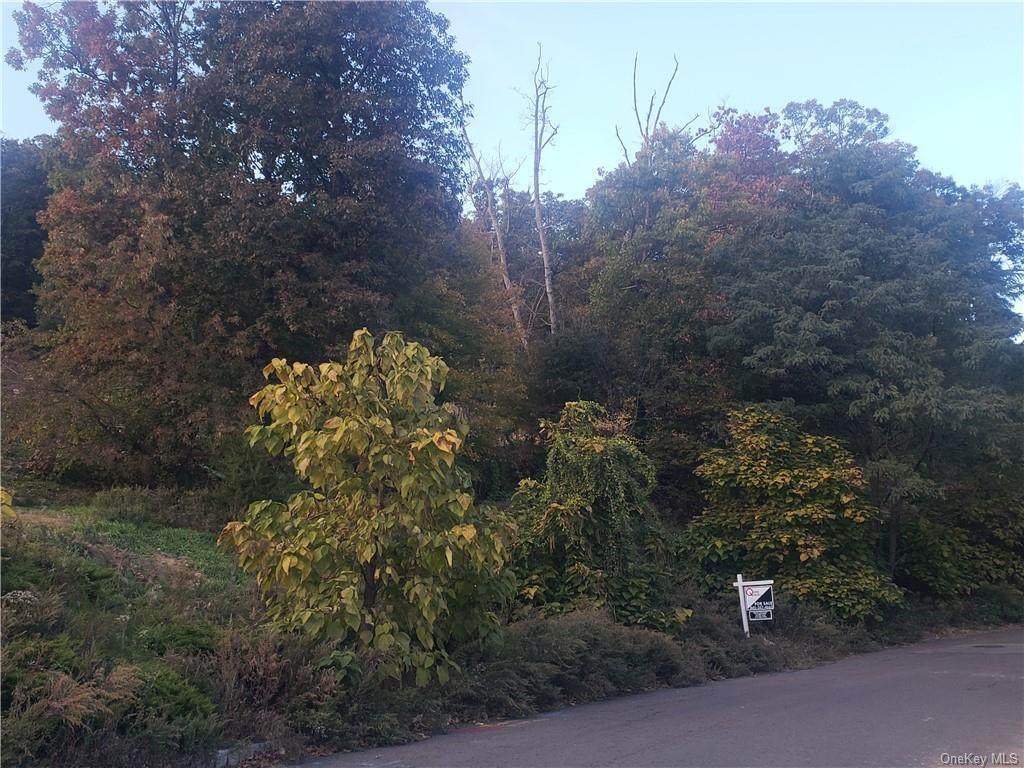 124 Overlook Road - Photo 1