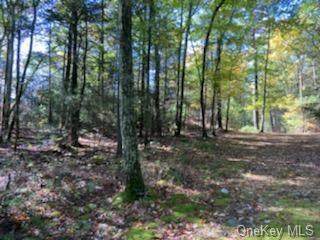 Lot 2 Rambling Road - Photo 1