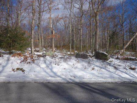 Wolf Lake Road - Photo 1