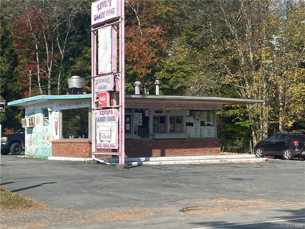 3407 Nys Hwy 55 - Photo 1