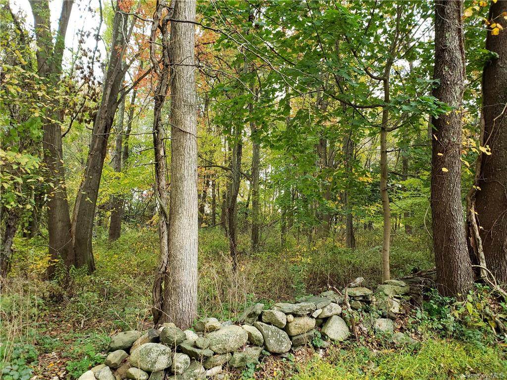 360 Brewster Hill Road - Photo 1