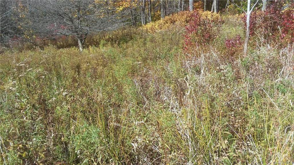 N/A Onteora Road - Photo 1