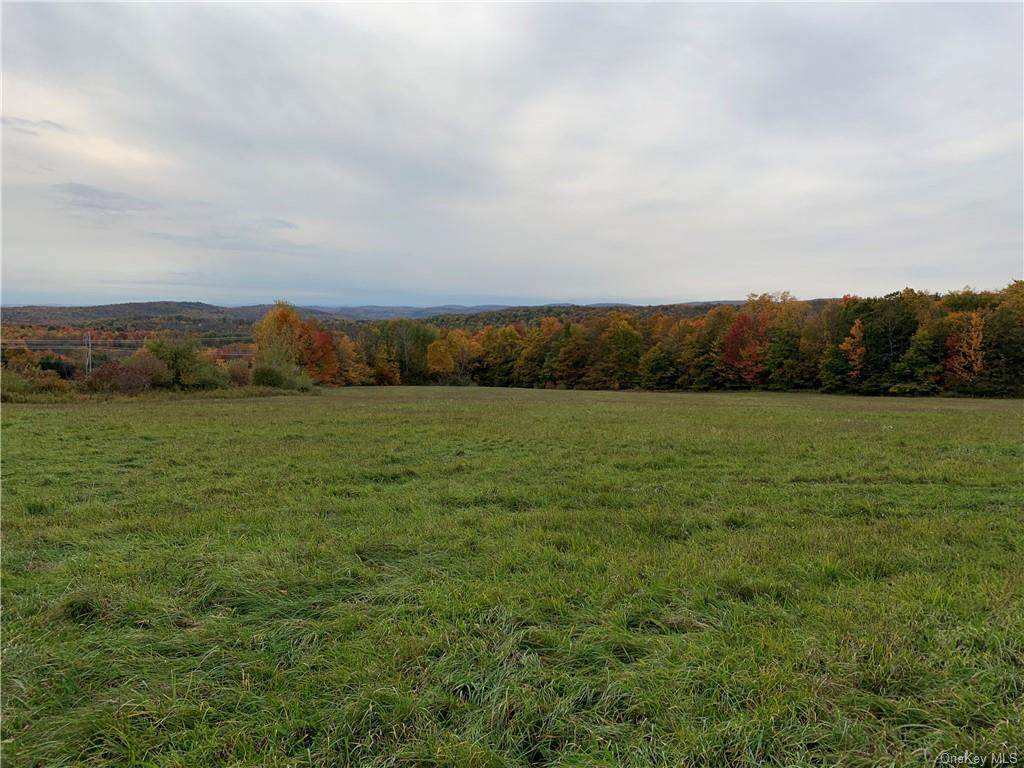 Fox Mountain Road - Photo 1