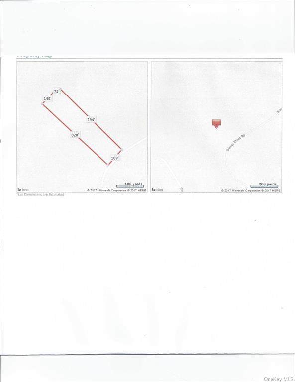 Brandy Brook Road - Photo 1