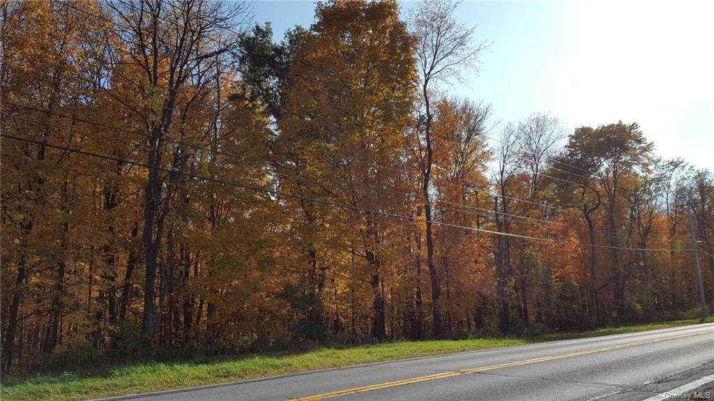 Route 208 - Photo 1