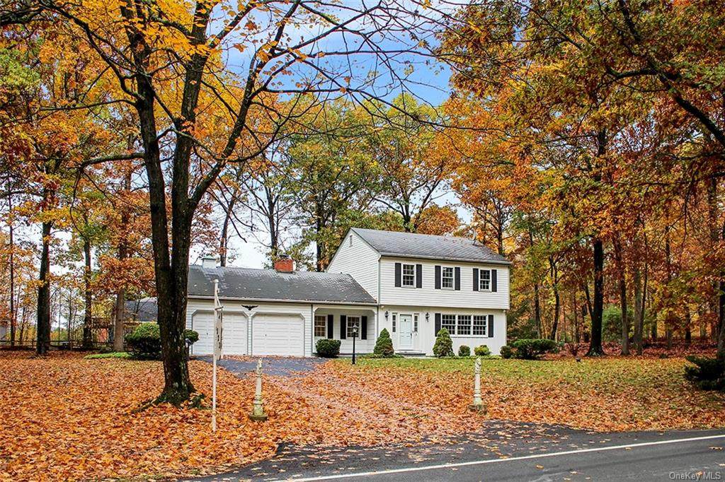 223 Putt Corners Road - Photo 1