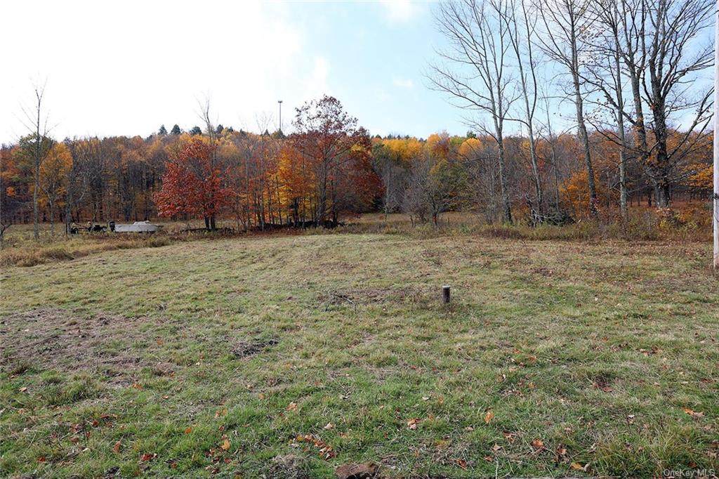 353 Henderson Road - Photo 1