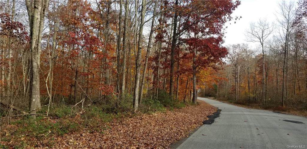 Lot 42 Perry Pond Road (Nys Rt 97) - Photo 1