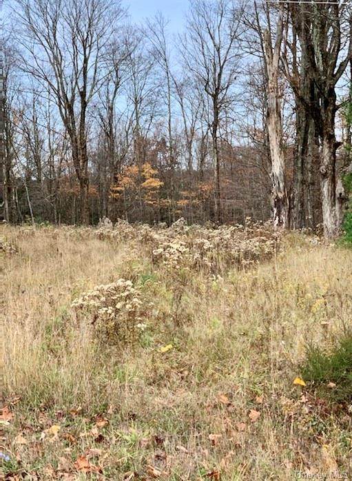 601 Wild Turnpike - Photo 1