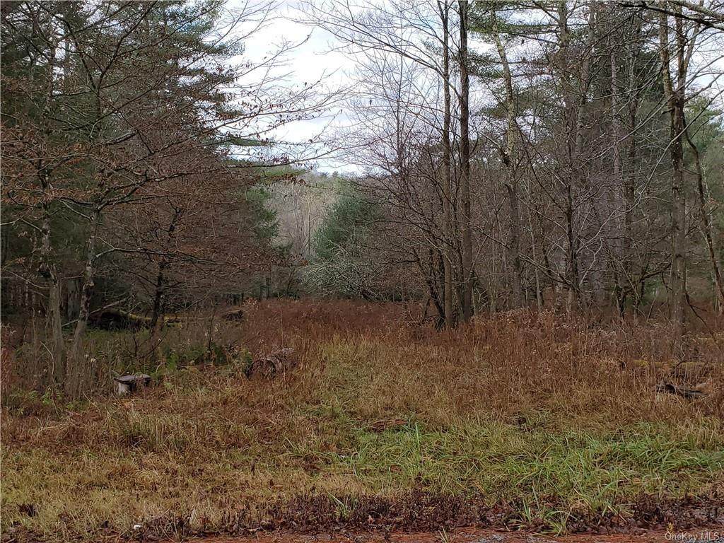 Mitchell Pond - Photo 1