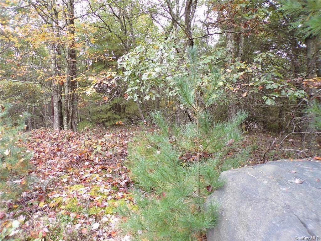 Split Rock Drive - Photo 1