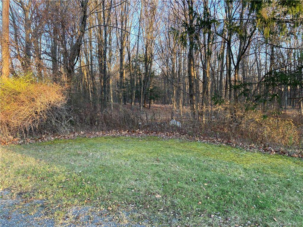 Lot A Shoddy Hollow Road - Photo 1